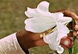 Image of George Washington Carver United States USA, 1942, second 56 stock footage video 65675038922
