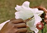 Image of George Washington Carver United States USA, 1942, second 58 stock footage video 65675038922