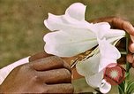 Image of George Washington Carver United States USA, 1942, second 59 stock footage video 65675038922