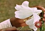 Image of George Washington Carver United States USA, 1942, second 60 stock footage video 65675038922