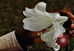 Image of George Washington Carver United States USA, 1942, second 61 stock footage video 65675038922
