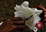 Image of George Washington Carver United States USA, 1942, second 62 stock footage video 65675038922