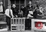 Immagine di YMCA visualizza Detroit Michigan USA, 1934, secondo 35 filmato di repertorio 65675038932