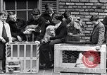 Immagine di YMCA visualizza Detroit Michigan USA, 1934, secondo 37 filmato di repertorio 65675038932