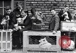 Immagine di YMCA visualizza Detroit Michigan USA, 1934, secondo 39 filmato di repertorio 65675038932
