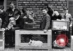 Immagine di YMCA visualizza Detroit Michigan USA, 1934, secondo 40 filmato di repertorio 65675038932