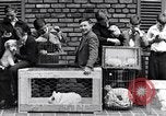 Immagine di YMCA visualizza Detroit Michigan USA, 1934, secondo 41 filmato di repertorio 65675038932