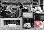 Immagine di YMCA visualizza Detroit Michigan USA, 1934, secondo 42 filmato di repertorio 65675038932