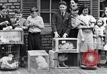 Immagine di YMCA visualizza Detroit Michigan USA, 1934, secondo 47 filmato di repertorio 65675038932