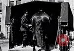 Image Policiers Detroit Michigan USA, 1934, de la seconde 29 séquences d'archives historiques vidéo 65675038933