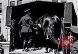Image Policiers Detroit Michigan USA, 1934, de la seconde 30 séquences d'archives historiques vidéo 65675038933