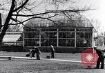 Image kids Detroit Michigan USA, 1934, de la seconde 26 séquences d'archives historiques vidéo 65675038937