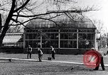 Image kids Detroit Michigan USA, 1934, de la seconde 28 séquences d'archives historiques vidéo 65675038937