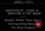 Immagine di Il pet show Detroit Michigan USA, 1934, secondo 1 filmato di repertorio 65675038941
