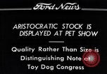 Immagine di Il pet show Detroit Michigan USA, 1934, secondo 5 filmato di repertorio 65675038941