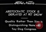 Immagine di Il pet show Detroit Michigan USA, 1934, secondo 6 filmato di repertorio 65675038941