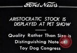 Immagine di Il pet show Detroit Michigan USA, 1934, secondo 9 filmato di repertorio 65675038941