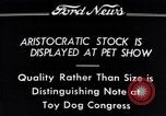 Immagine di Il pet show Detroit Michigan USA, 1934, secondo 10 filmato di repertorio 65675038941