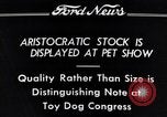 Immagine di Il pet show Detroit Michigan USA, 1934, secondo 11 filmato di repertorio 65675038941