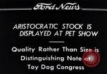 Immagine di Il pet show Detroit Michigan USA, 1934, secondo 12 filmato di repertorio 65675038941