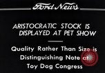Immagine di Il pet show Detroit Michigan USA, 1934, secondo 13 filmato di repertorio 65675038941