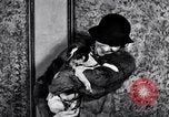 Immagine di Il pet show Detroit Michigan USA, 1934, secondo 30 filmato di repertorio 65675038941