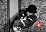 Immagine di Il pet show Detroit Michigan USA, 1934, secondo 31 filmato di repertorio 65675038941