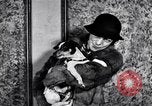 Immagine di Il pet show Detroit Michigan USA, 1934, secondo 32 filmato di repertorio 65675038941