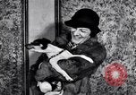 Immagine di Il pet show Detroit Michigan USA, 1934, secondo 33 filmato di repertorio 65675038941