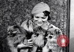 Immagine di Il pet show Detroit Michigan USA, 1934, secondo 44 filmato di repertorio 65675038941