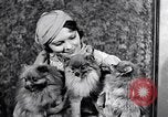 Immagine di Il pet show Detroit Michigan USA, 1934, secondo 46 filmato di repertorio 65675038941