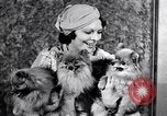 Immagine di Il pet show Detroit Michigan USA, 1934, secondo 47 filmato di repertorio 65675038941