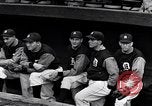 Image Tiger Stadium Detroit Michigan USA, 1934, de la seconde 52 séquences d'archives historiques vidéo 65675038943