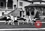 Image of Fencing Detroit Michigan USA, 1934, second 45 stock footage video 65675038947