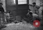 Immagine di Gli uomini con le braccia Israele, 1948, secondo 13 filmato di repertorio 65675038960