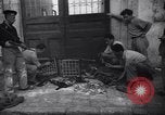 Immagine di Gli uomini con le braccia Israele, 1948, secondo 15 filmato di repertorio 65675038960