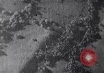 Immagine di John F Kennedy United States USA, 1962, secondo 5 filmato di repertorio 65675038963
