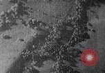 Immagine di John F Kennedy United States USA, 1962, secondo 6 filmato di repertorio 65675038963