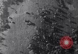 Immagine di John F Kennedy United States USA, 1962, secondo 11 filmato di repertorio 65675038963