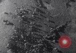 Immagine di John F Kennedy United States USA, 1962, secondo 13 filmato di repertorio 65675038963