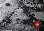 Immagine di John F Kennedy United States USA, 1962, secondo 46 filmato di repertorio 65675038963