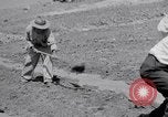 Image l'agriculture d'ananas en Amérique du Sud, 1948, de la seconde 8 séquences d'archives historiques vidéo 65675038969