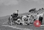 Image l'agriculture d'ananas en Amérique du Sud, 1948, de la seconde 9 séquences d'archives historiques vidéo 65675038969
