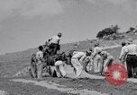 Image l'agriculture d'ananas en Amérique du Sud, 1948, de la seconde 10 séquences d'archives historiques vidéo 65675038969