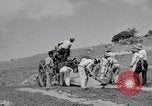 Image l'agriculture d'ananas en Amérique du Sud, 1948, de la seconde 12 séquences d'archives historiques vidéo 65675038969