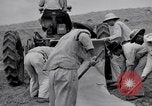 Image l'agriculture d'ananas en Amérique du Sud, 1948, de la seconde 14 séquences d'archives historiques vidéo 65675038969