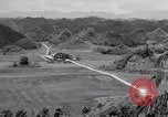 Image l'agriculture d'ananas en Amérique du Sud, 1948, de la seconde 22 séquences d'archives historiques vidéo 65675038969
