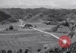 Image l'agriculture d'ananas en Amérique du Sud, 1948, de la seconde 23 séquences d'archives historiques vidéo 65675038969