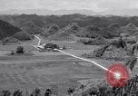 Image l'agriculture d'ananas en Amérique du Sud, 1948, de la seconde 24 séquences d'archives historiques vidéo 65675038969