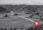Image l'agriculture d'ananas en Amérique du Sud, 1948, de la seconde 25 séquences d'archives historiques vidéo 65675038969